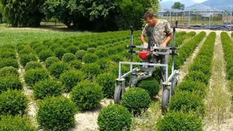 严控窖内温度与湿度