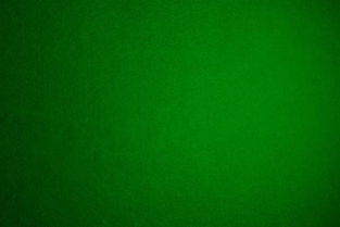 松叶的隐藏色彩