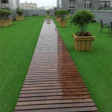 市场见闻：如何识别真正的固土植物