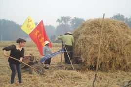 天津实施秸秆禁烧政策，提升花卉种植者补贴力度