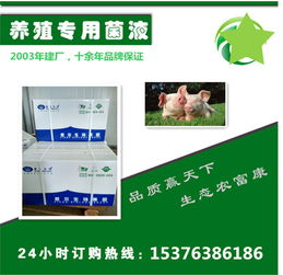 请问有哪些公司生产专门针对猪的饲料添加剂？
