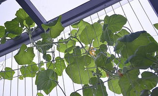 失败的教训与成功的秘诀