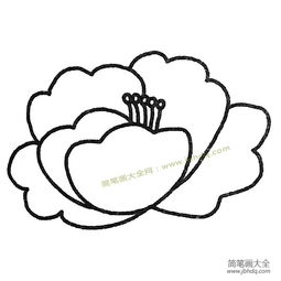 牡丹花简笔画，涂色简单