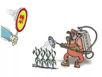 下午打农药：时间选择有讲究