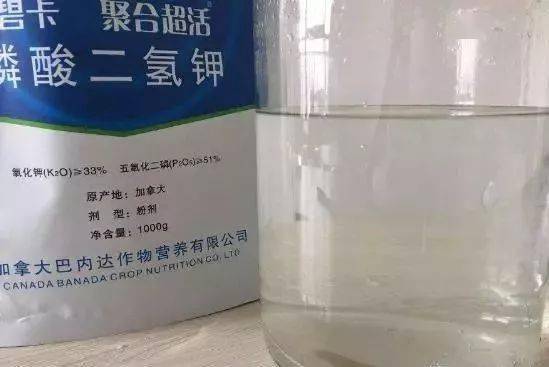 芸苔素和磷酸二氢钾混合使用对控梢效果好吗？