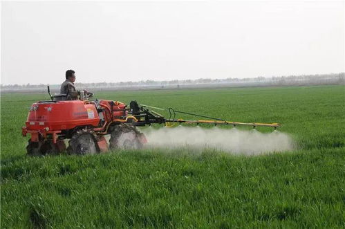 机械种植党参的原理