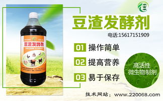 黄豆渣如何简单发酵制作成高效饲料？