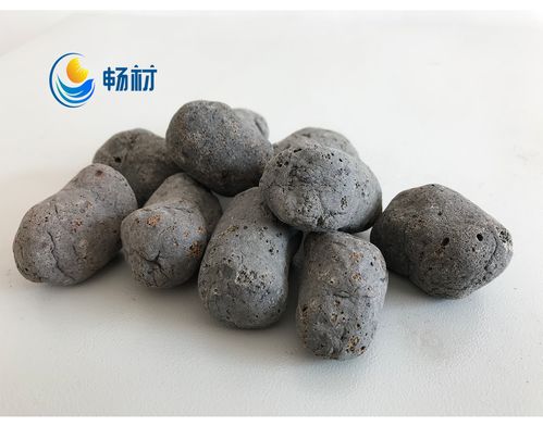 陶粒的水培神器——奶茶杯加陶粒水培薄荷