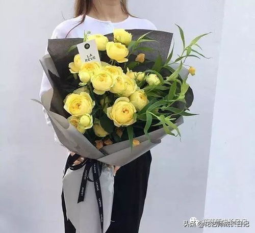 玫瑰花语探秘：15朵花的独特寓意解析