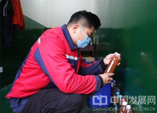 如何在家利用厨余垃圾改变土壤？效果如何