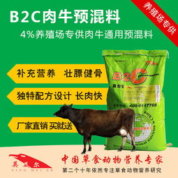 高效牛饲料：快速增重与肥育技巧揭秘