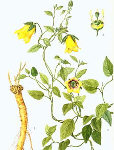 海拔也是影响因素