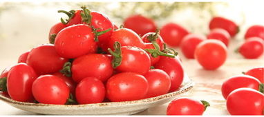 植物催花，催红素和一喷红谁geng胜一筹？