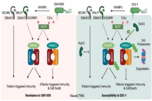 双重机制破解Neng量困局