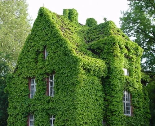 郑州华润琨瑜府的长廊区整了个节奏三部曲