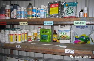 第六步：填埋或倾倒，选择正规场地