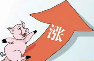 西平县最近生猪价格和猪肉价格分别是多少？
