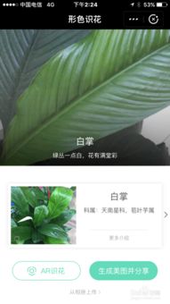 手机变扫描仪，随时随地识花草