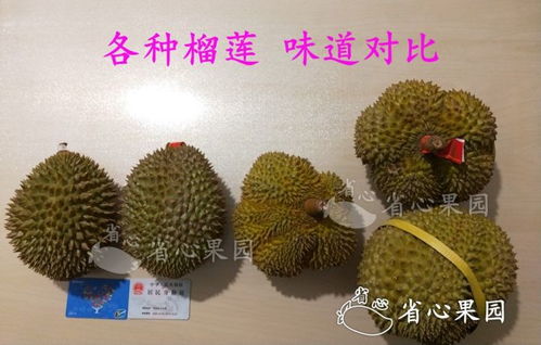 核心答案在这里