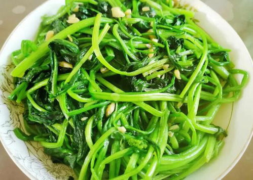 矮菠菜富含多种营养，常吃有益健康