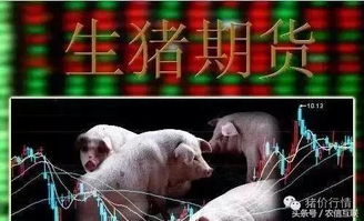 重庆猪农自产自养，稳市增收