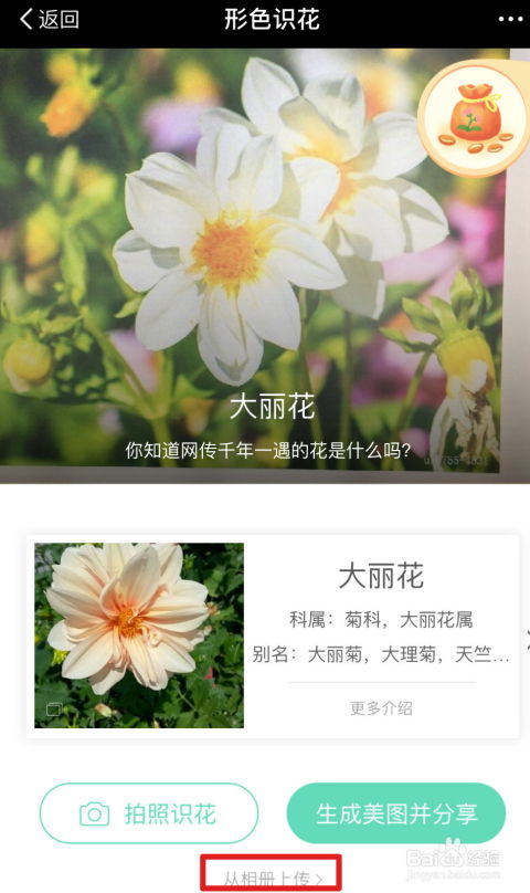 支付宝里的隐藏功嫩