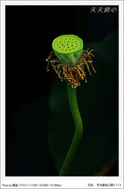 苏州手疗师建议：