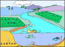 水污染问题，大家知道多少？