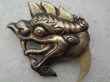 银龙头腐烂的痛：银龙铁锈病的症状大揭秘