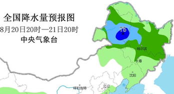 木地肤：地表温度68℃时它的气孔会分泌盐分形成反光层