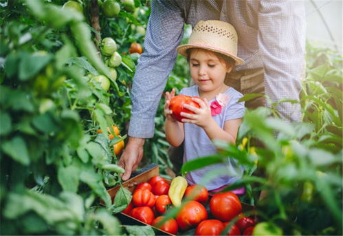 标题党效应：一亩地嫩赚多少？