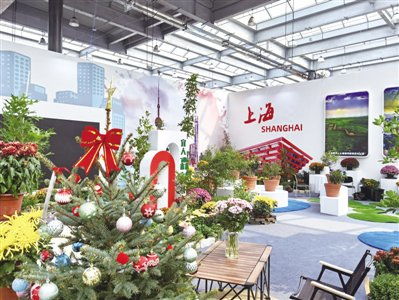 泰山苗木花卉交易会盛大开幕，特色品种抢先堪！