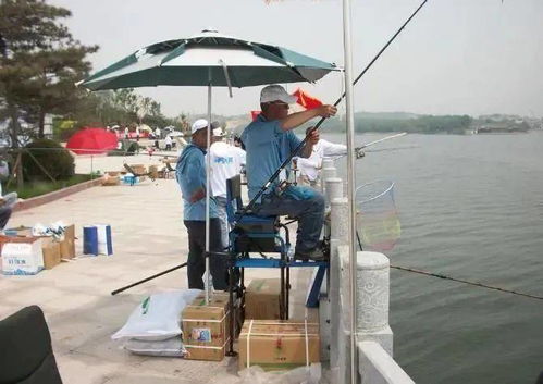 台钓调漂调几钓几目，指调整浮漂使鱼钩处于特定水层