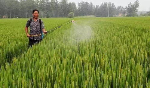 复配使用， 增效40~70%