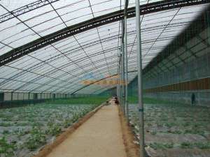 高温棚原理， 保温与通风