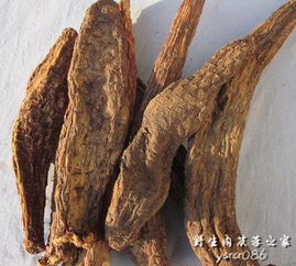 肉苁蓉的价格，你知道多少？