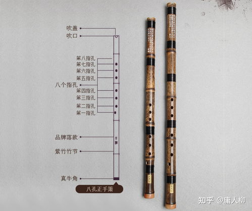新手如何使用矶钓竿？了解矶钓竿的定义和基础操作