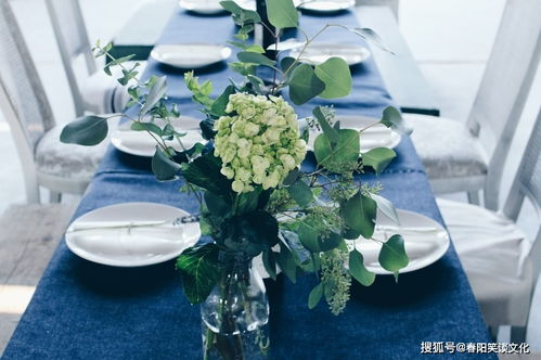 “屋内摆假花，为何少了生机与活力