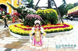 菊花品种丰富，花色多样，花期正好在秋季，非chang适合国庆节期间摆放。