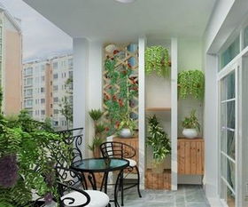 小巧可爱， 开花惊艳