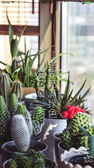 田园生活， 劳作中的喜悦与满足