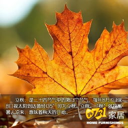 变色木落叶后如何进行科学养护？如何让变色木重新焕发生机