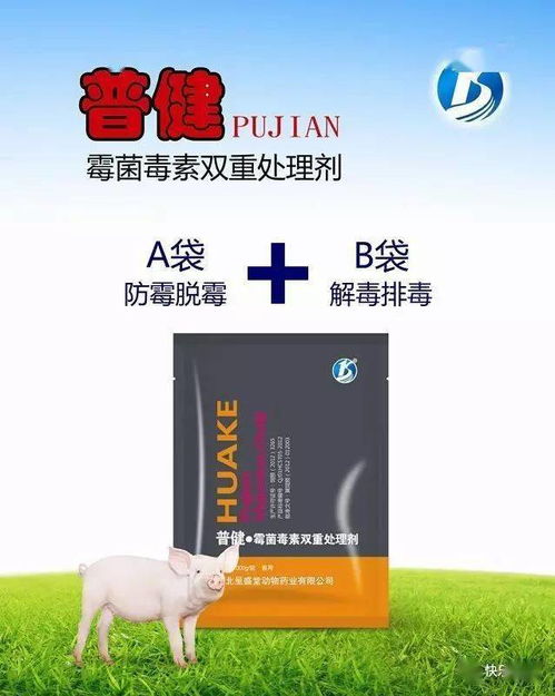 母猪不孕症防治策略研究