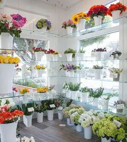 第三步：打造自己的特色