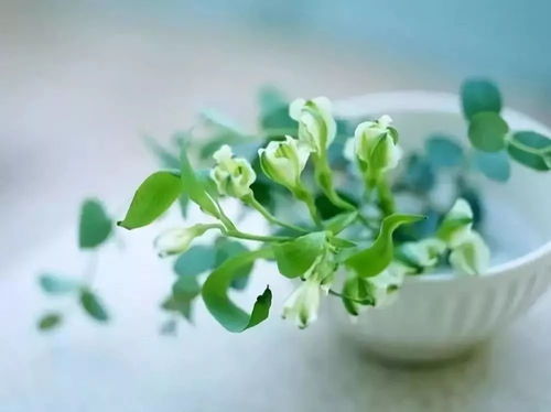 艺术风格的多样性