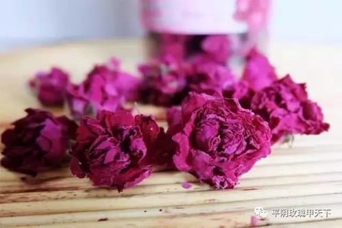 玫瑰花茶，如何辨别真伪