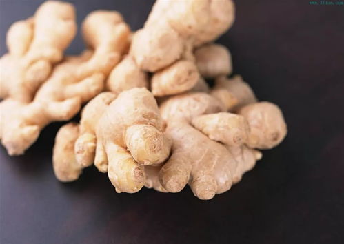 生姜灰霉病的烦恼，如何用药解决？