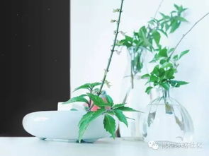 花多不乱拆，巧用空间布局