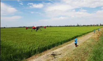 均匀覆盖：触杀性药剂的关键