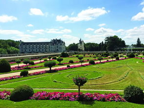 舍农索城堡女人月季：一场视觉与嗅觉的盛宴